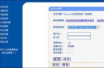 花生殼DDNS怎麼用：中國大陸Router 動態域名的使用方法（TP-LINK, MERCURY等通用）