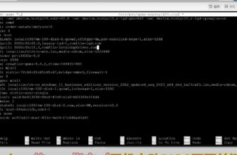 IOMMU? VFIO? GPO? Proxmox PVE PCIE直通和核顯HDMI直通設置參數解釋